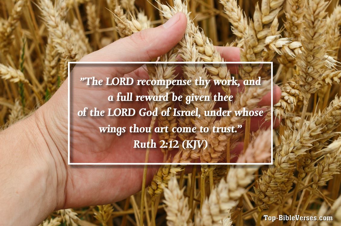 Ruth 2:12 KJV - The LORD recompense thy work, and a full reward be given thee of the LORD God of Israel, under whose wings thou art come to trust.