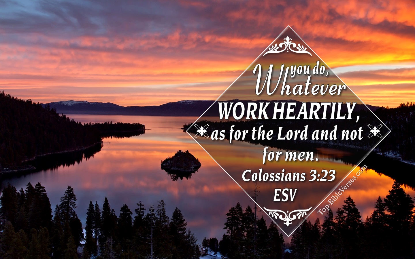 Colossians 3:23 ESV Christian Bible Verse Desktop Wallpaper. Top-BibleVerses.com