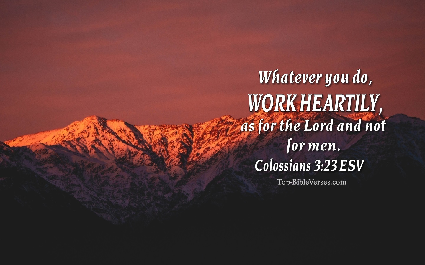 Colossians 3:23 ESV Christian Bible Verse Desktop Wallpaper. Top-BibleVerses.com