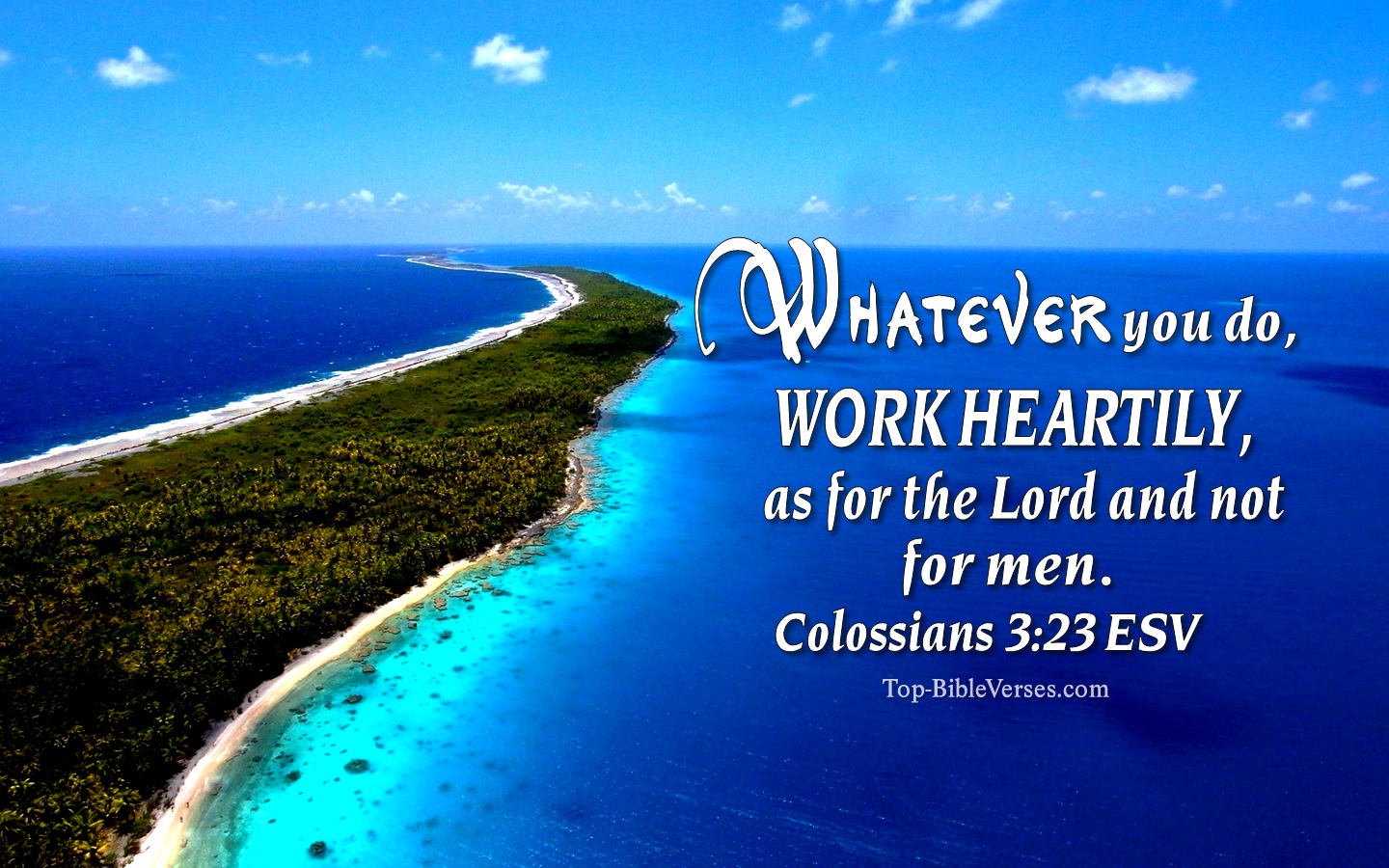 Colossians 3:23 ESV Christian Bible Verse Desktop Wallpaper. Top-BibleVerses.com