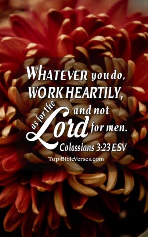 Colossians 3:23 ESV Christian Bible Verse Mobile Wallpaper. Top-BibleVerses.com
