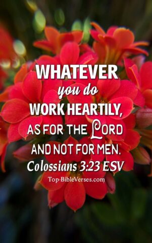 Colossians 3:23 ESV Christian Bible Verse Mobile Wallpaper. Top-BibleVerses.com