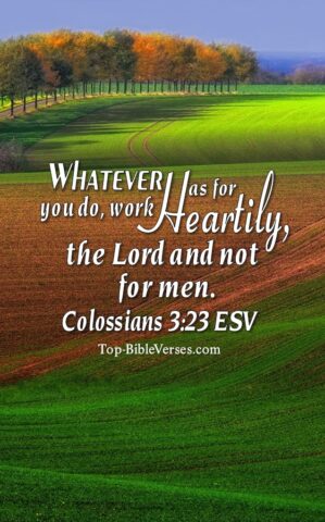 Colossians 3:23 ESV Christian Bible Verse Mobile Wallpaper. Top-BibleVerses.com