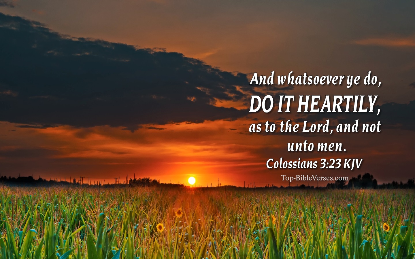 Colossians 3:23 KJV Christian Bible Verse Desktop Wallpaper. Top-BibleVerses.com