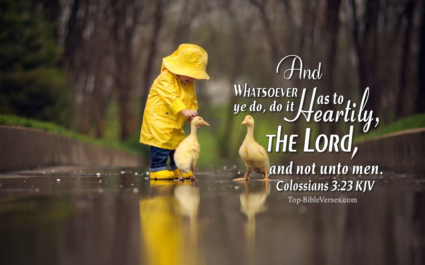 Colossians 3:23 KJV Christian Bible Verse Desktop Wallpaper. Top-BibleVerses.com