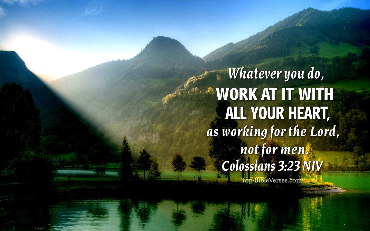 Colossians 3:23 NIV Bible Verse Backgrounds | Christian Wallpaper