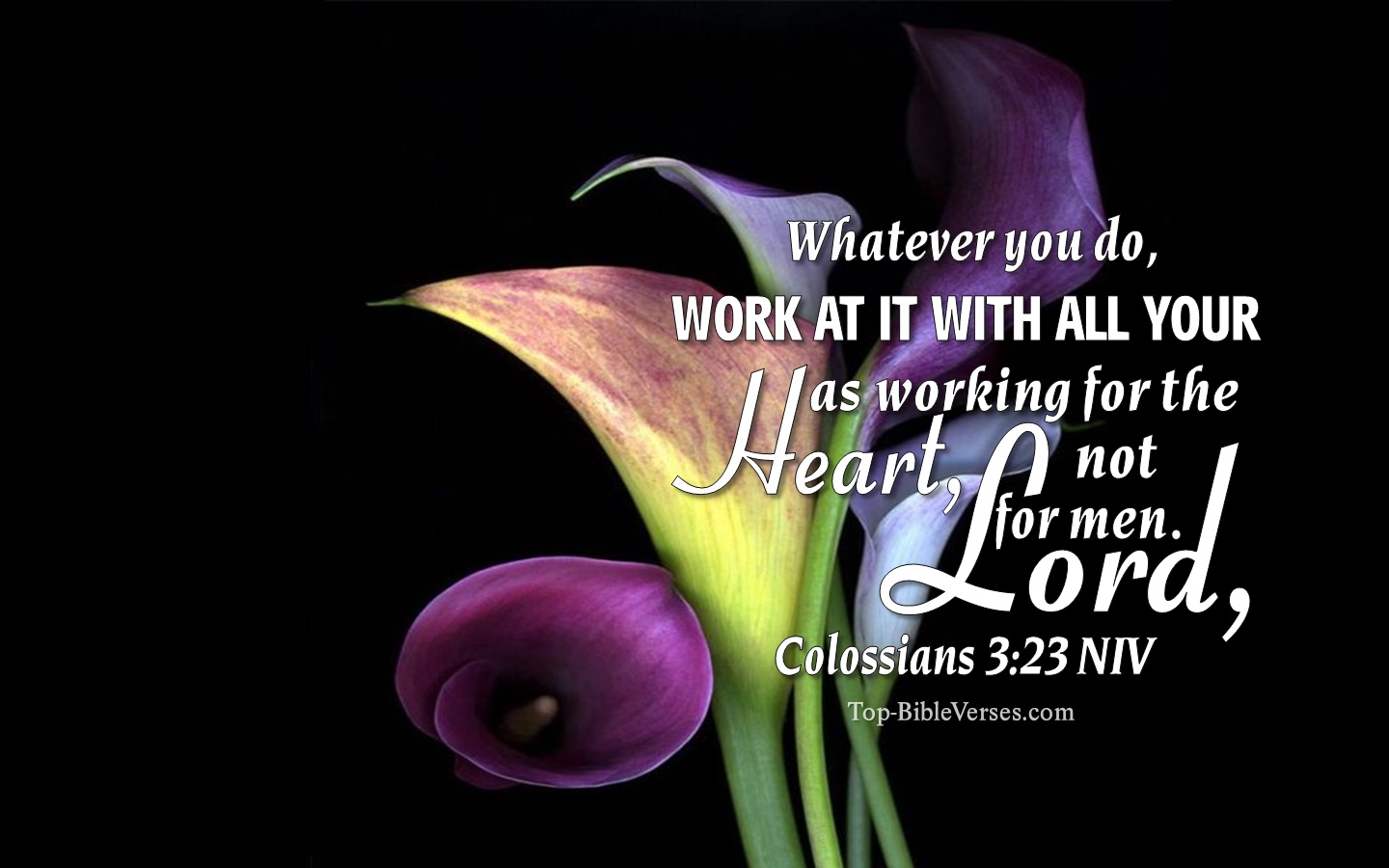 Colossians 3:23 NIV Christian Bible Verse Desktop Wallpaper. Top-BibleVerses.com