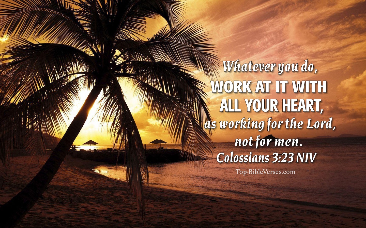 Colossians 3:23 NIV Christian Bible Verse Desktop Wallpaper. Top-BibleVerses.com
