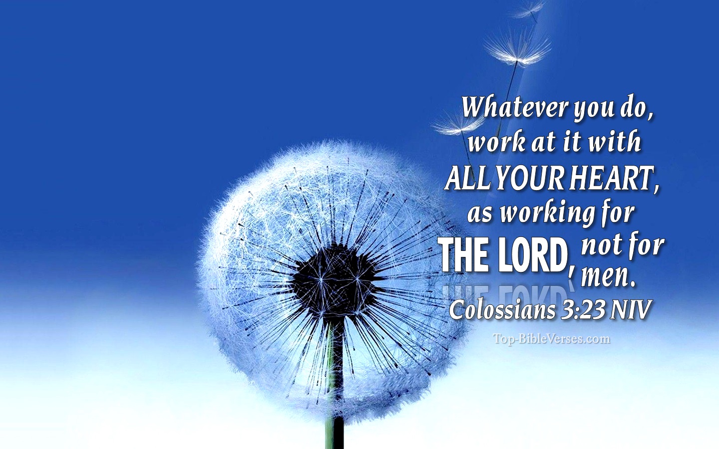 Colossians 3:23 NIV Christian Bible Verse Desktop Wallpaper. Top-BibleVerses.com