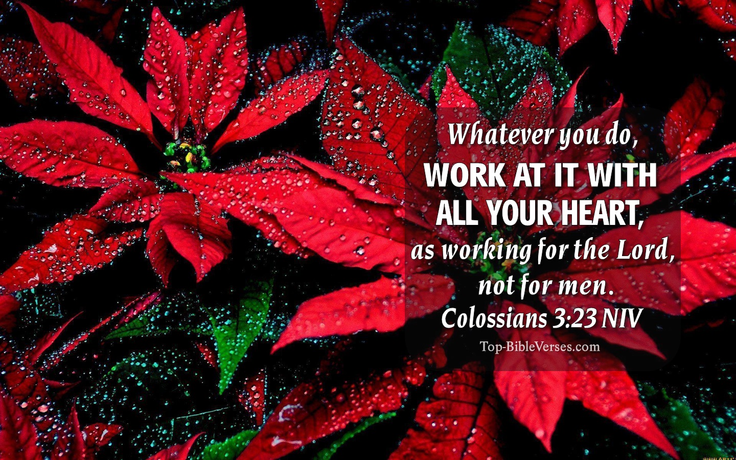 Colossians 3:23 NIV Christian Bible Verse Desktop Wallpaper. Top-BibleVerses.com