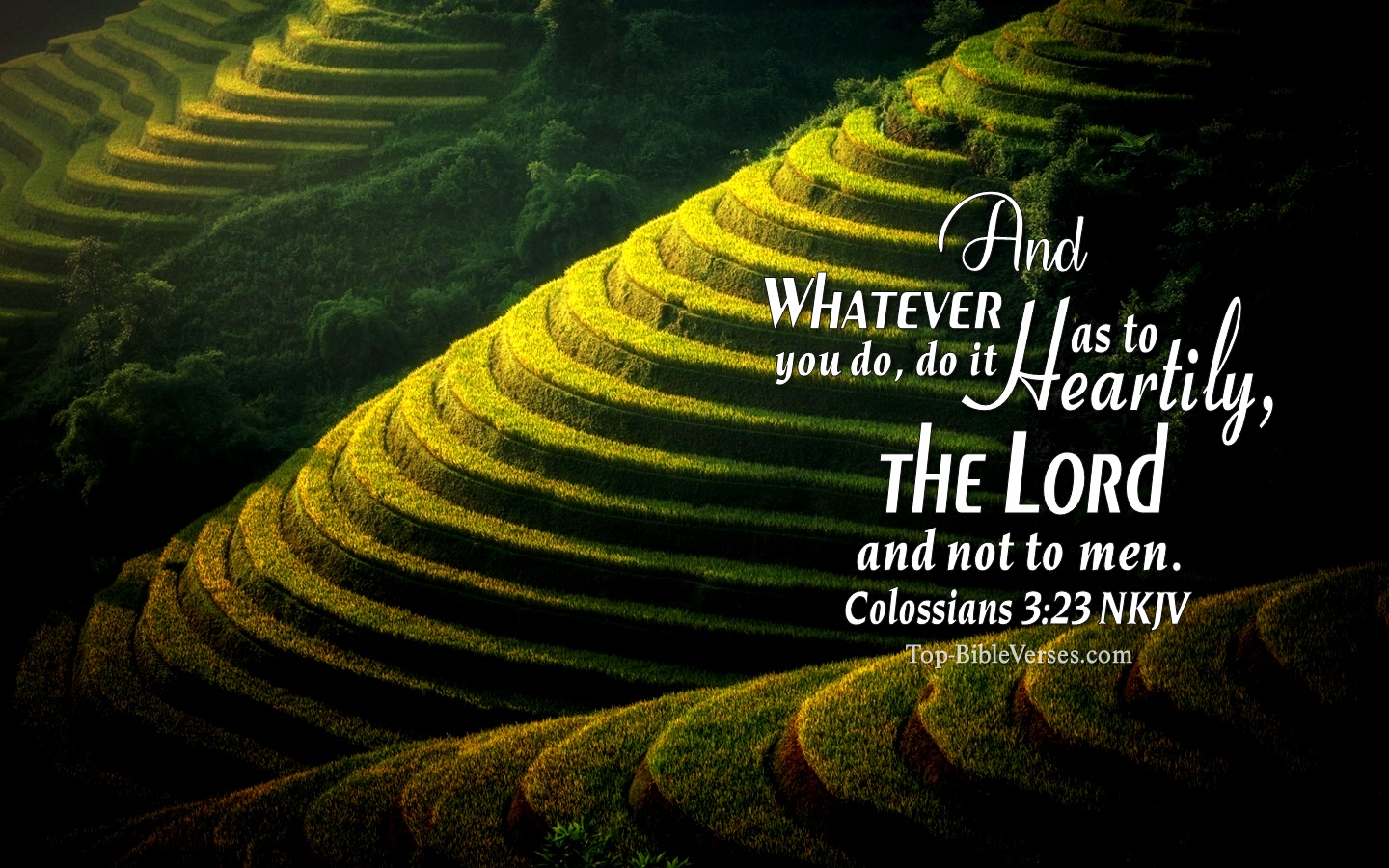Colossians 3:23 NKJV Christian Bible Verse Desktop Wallpaper. Top-BibleVerses.com