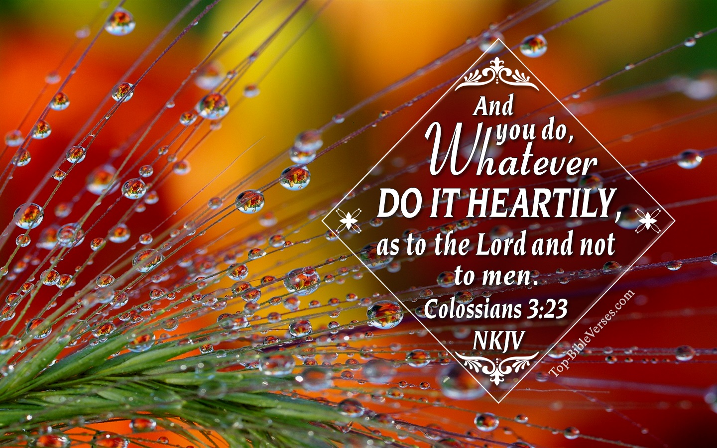 Colossians 3:23 NKJV Christian Bible Verse Desktop Wallpaper. Top-BibleVerses.com