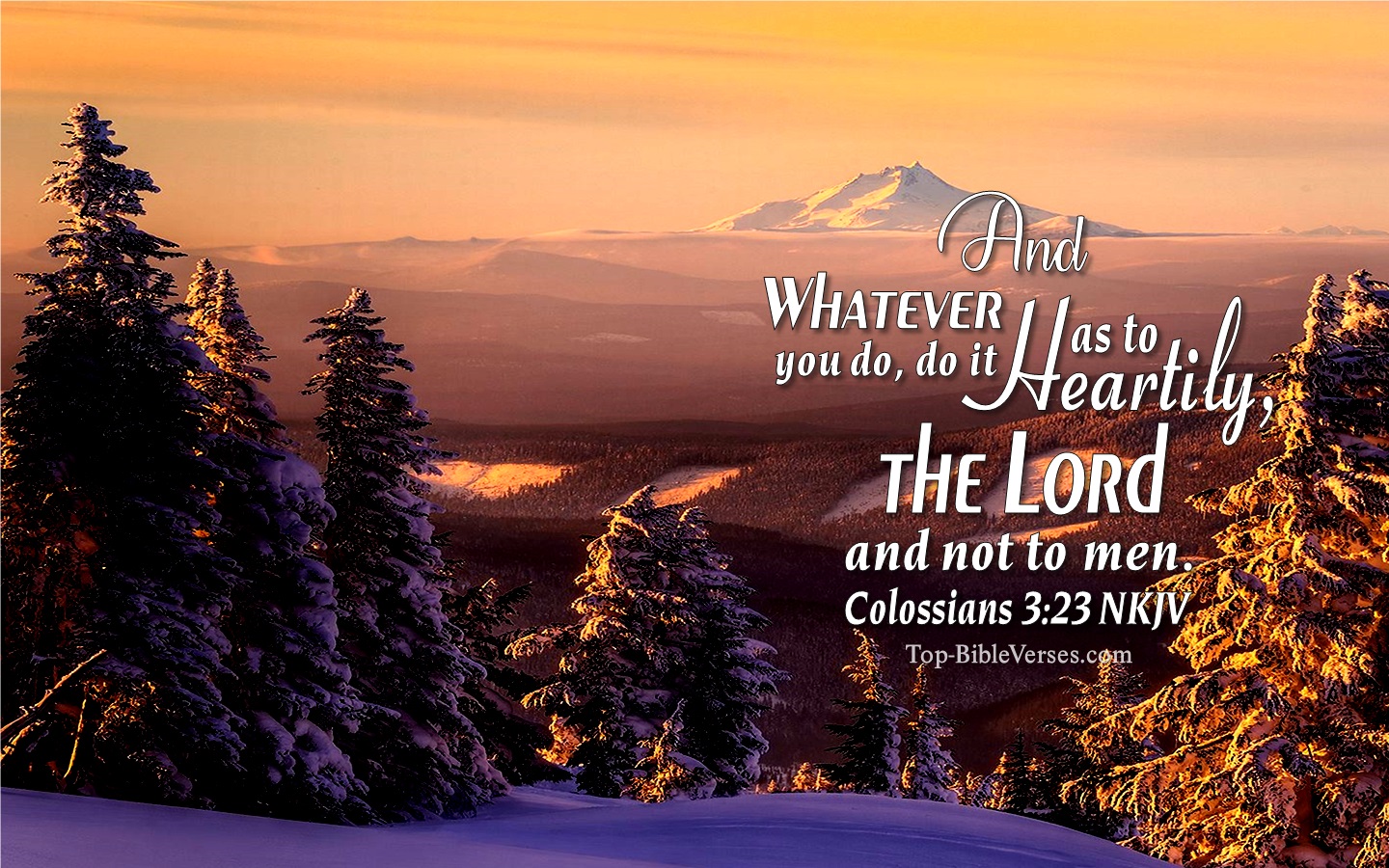Colossians 3:23 NKJV Christian Bible Verse Desktop Wallpaper. Top-BibleVerses.com
