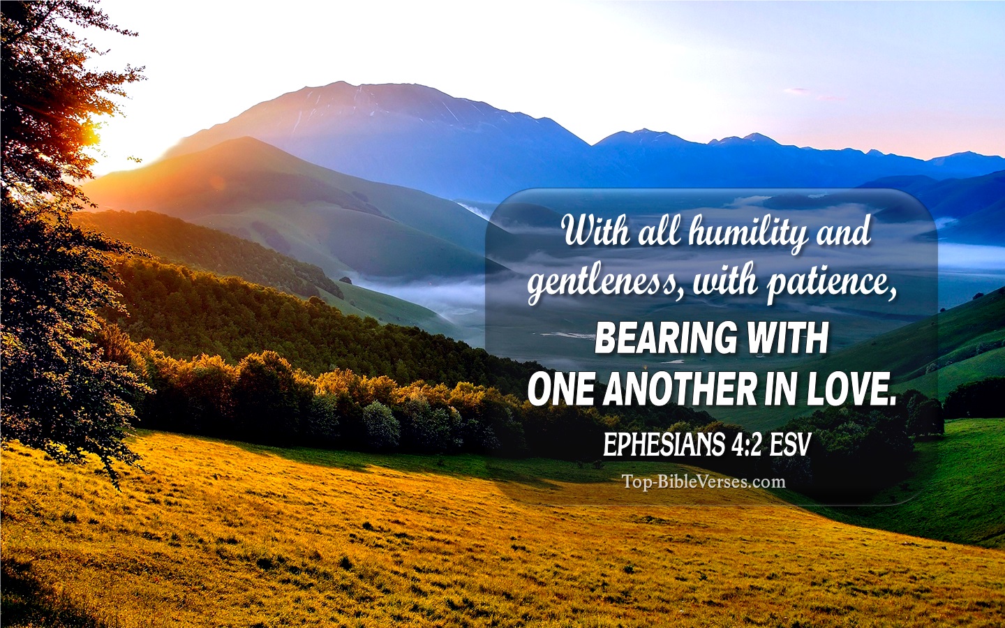 Ephesians 4:2 ESV Christian Bible Verse Desktop Wallpaper. Top-BibleVerses.com