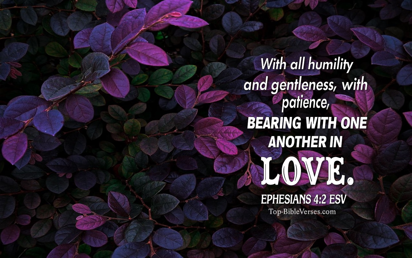 Ephesians 4:2 ESV Christian Bible Verse Desktop Wallpaper. Top-BibleVerses.com