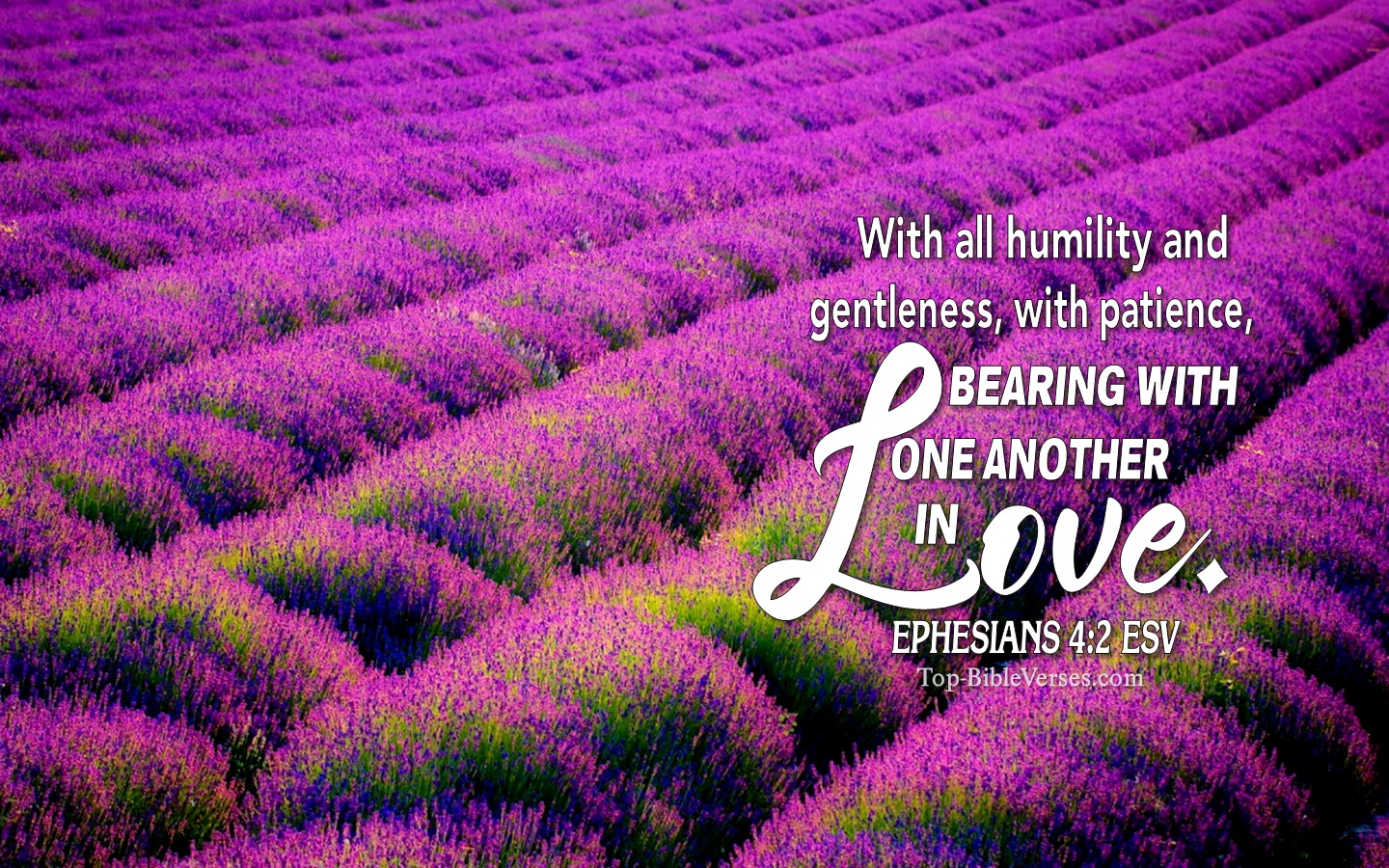 Ephesians 4:2 ESV Christian Bible Verse Desktop Wallpaper. Top-BibleVerses.com