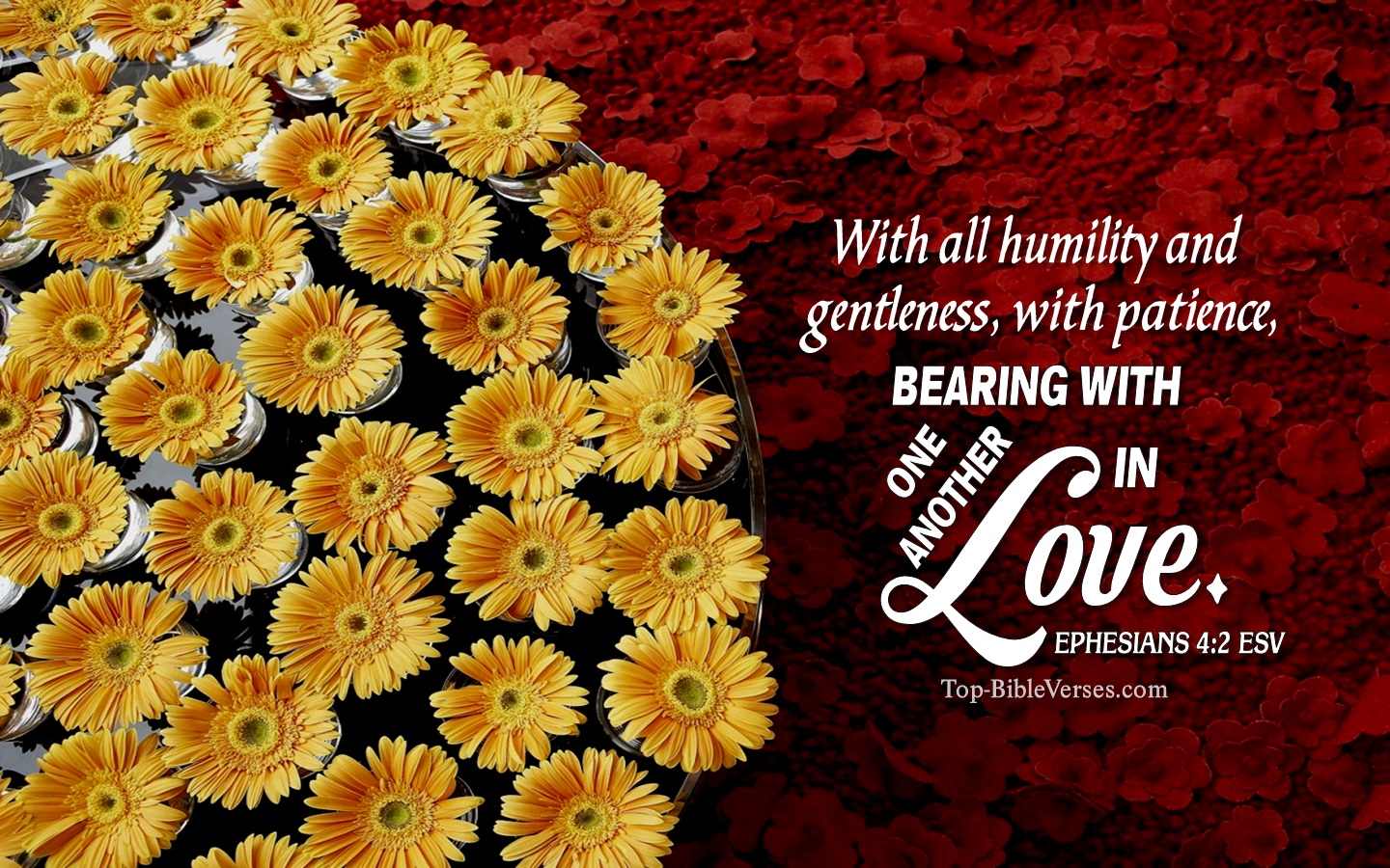 Ephesians 4:2 ESV Christian Bible Verse Desktop Wallpaper. Top-BibleVerses.com