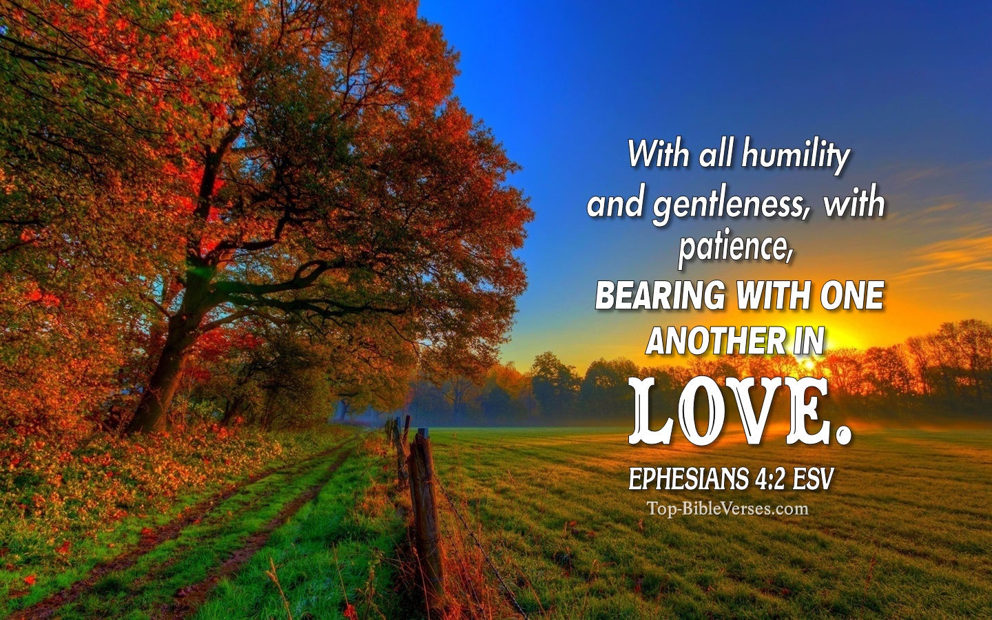 Ephesians 4:2 ESV Christian Bible Verse Desktop Wallpaper. Top-BibleVerses.com