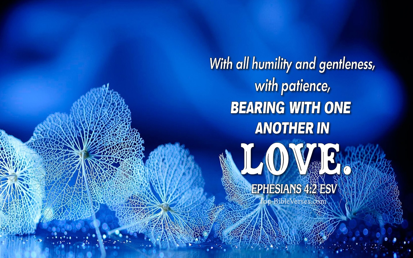 Ephesians 4:2 ESV Christian Bible Verse Desktop Wallpaper. Top-BibleVerses.com