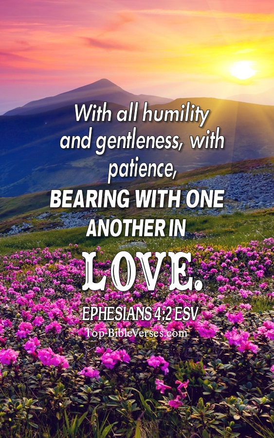 Ephesians 4:2 ESV Christian Bible Verse Mobile Wallpaper. Top-BibleVerses.com