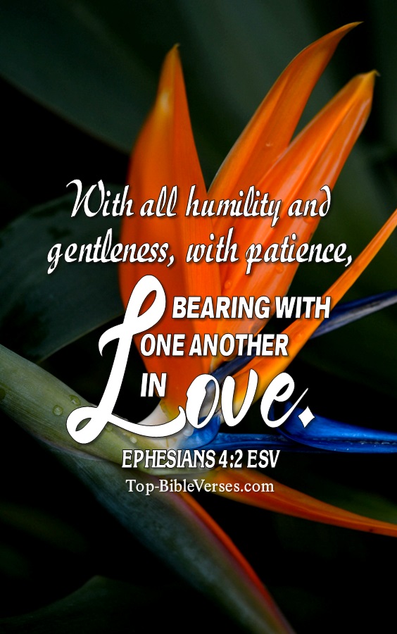 Ephesians 4:2 ESV Christian Bible Verse Mobile Wallpaper. Top-BibleVerses.com