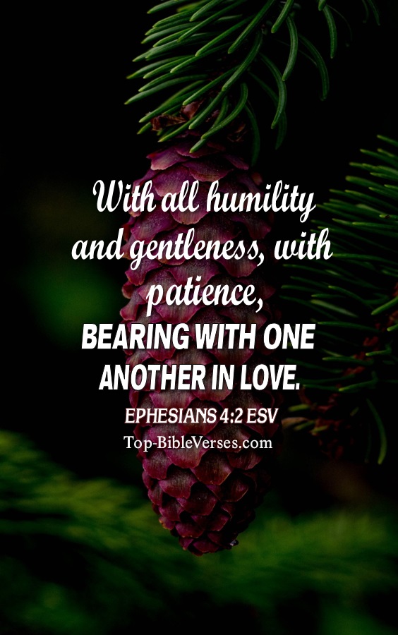 Ephesians 4:2 ESV Christian Bible Verse Mobile Wallpaper. Top-BibleVerses.com