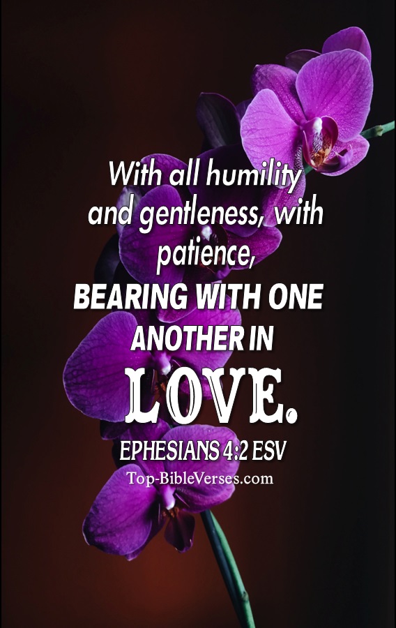 Ephesians 4:2 ESV Christian Bible Verse Mobile Wallpaper. Top-BibleVerses.com