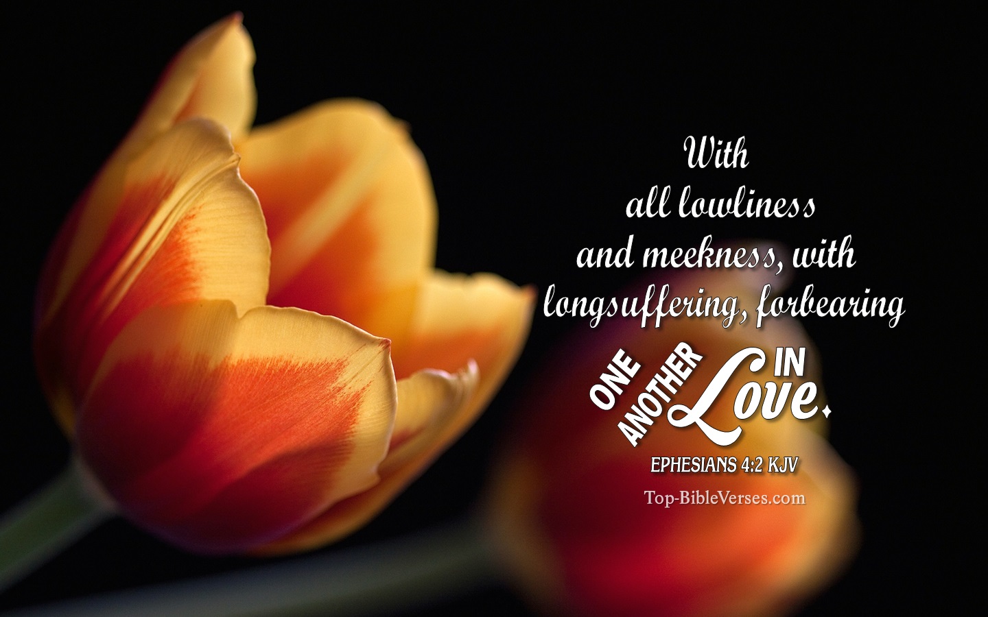 Ephesians 4:2 KJV Christian Bible Verse Desktop Wallpaper. Top-BibleVerses.com