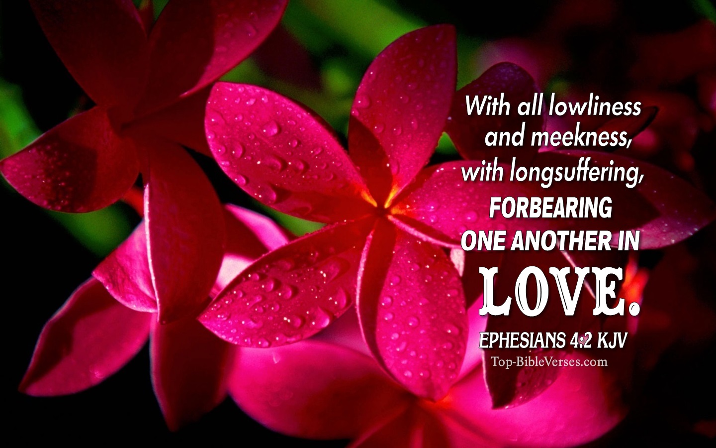 Ephesians 4:2 KJV Christian Bible Verse Desktop Wallpaper. Top-BibleVerses.com