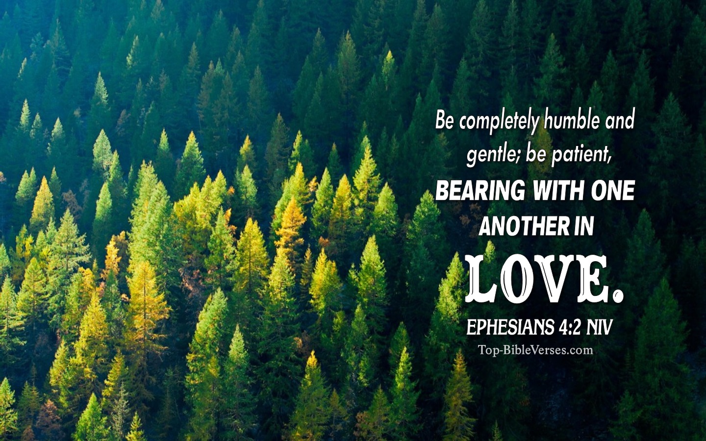 Ephesians 4:2 NIV Christian Bible Verse Desktop Wallpaper. Top-BibleVerses.com