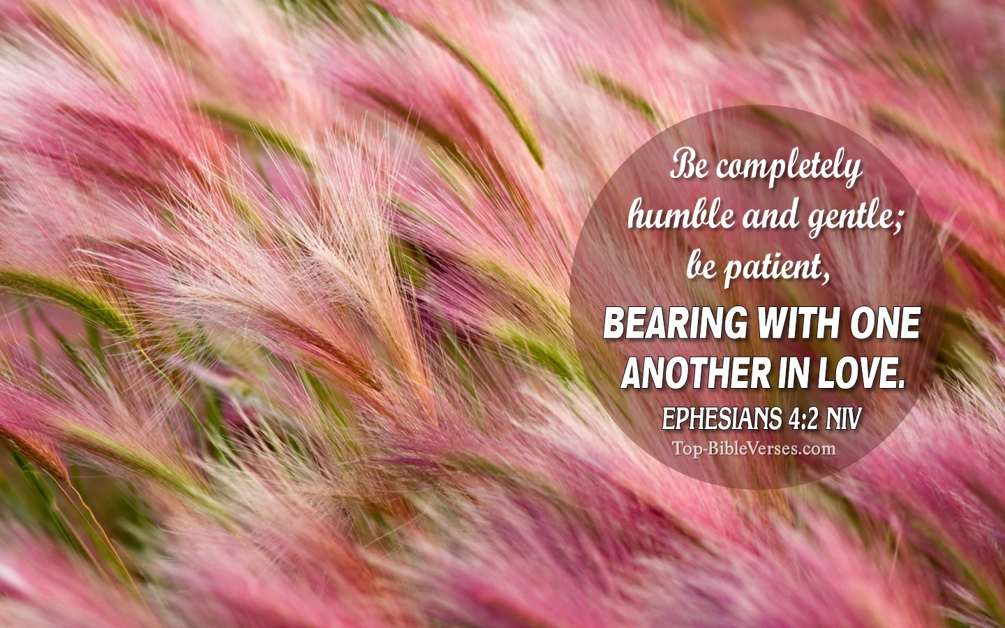 Ephesians 4:2 NIV Christian Bible Verse Desktop Wallpaper. Top-BibleVerses.com