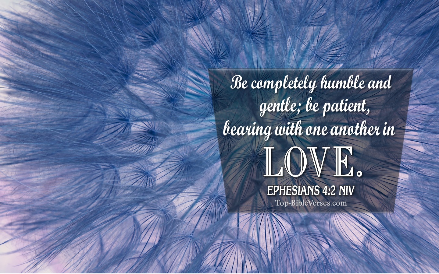 Ephesians 4:2 NIV Christian Bible Verse Desktop Wallpaper. Top-BibleVerses.com