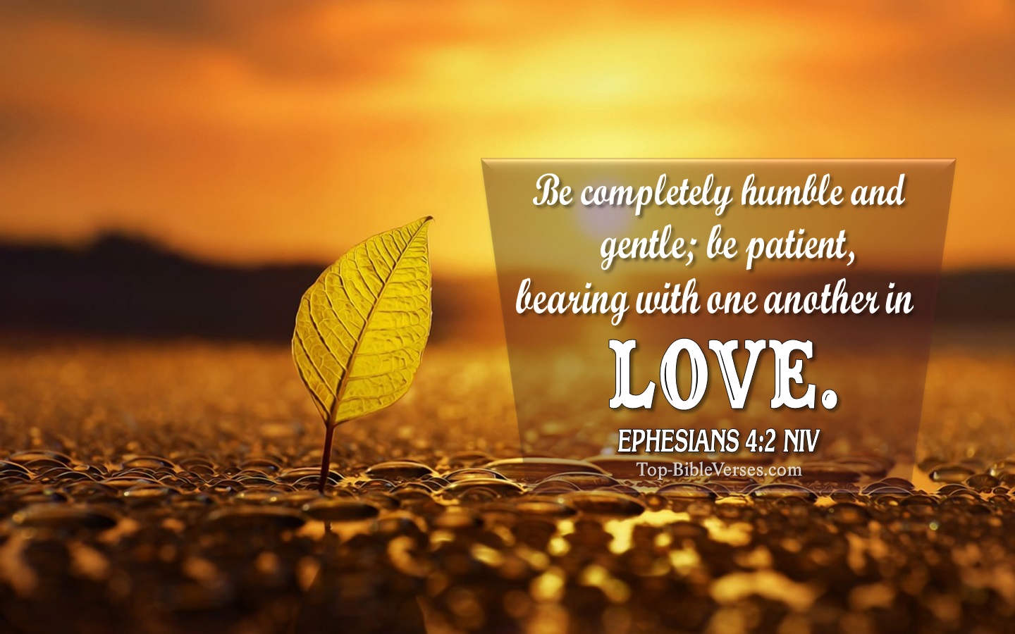 Ephesians 4:2 NIV Christian Bible Verse Desktop Wallpaper. Top-BibleVerses.com