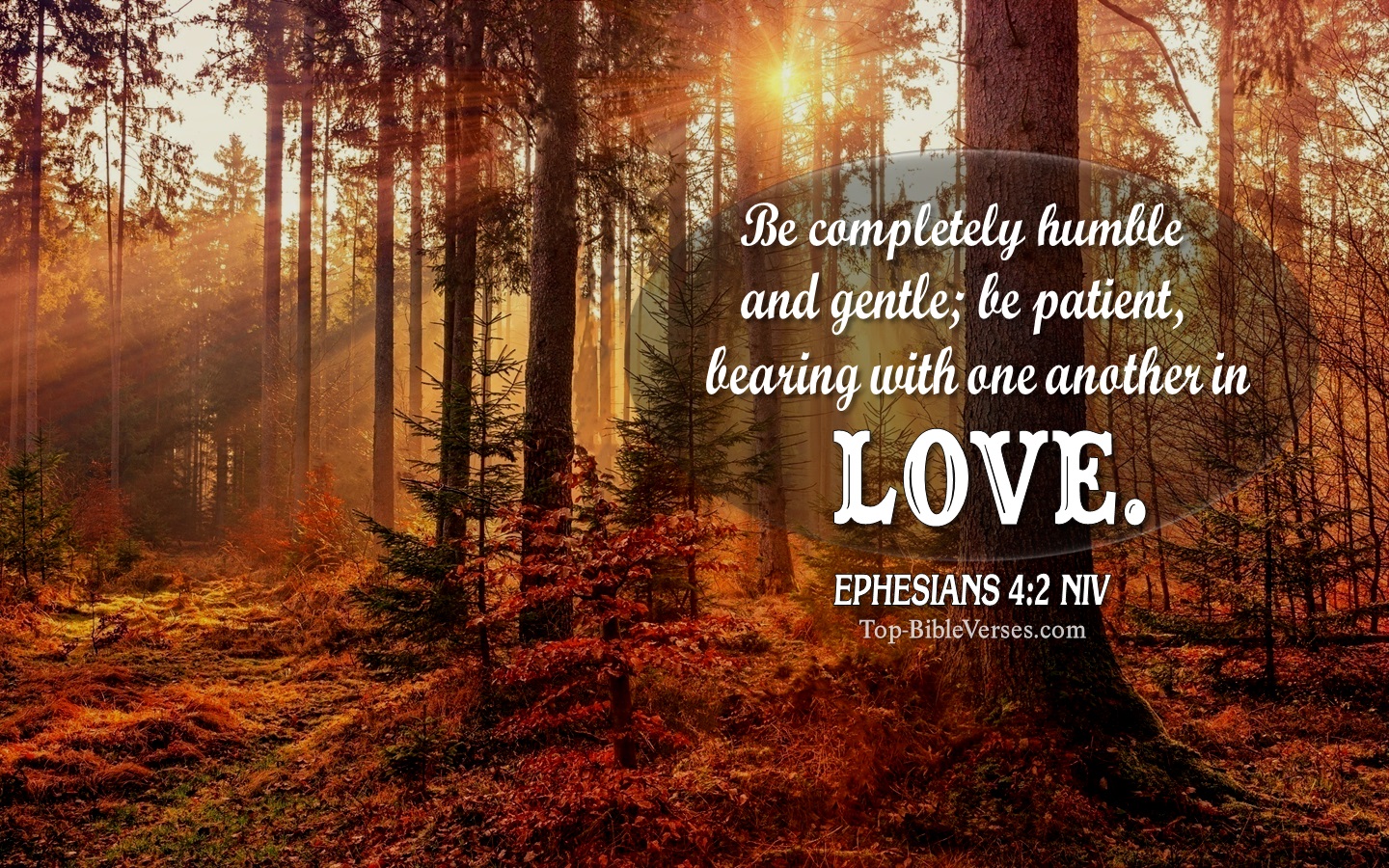 Ephesians 4:2 NIV Christian Bible Verse Desktop Wallpaper. Top-BibleVerses.com