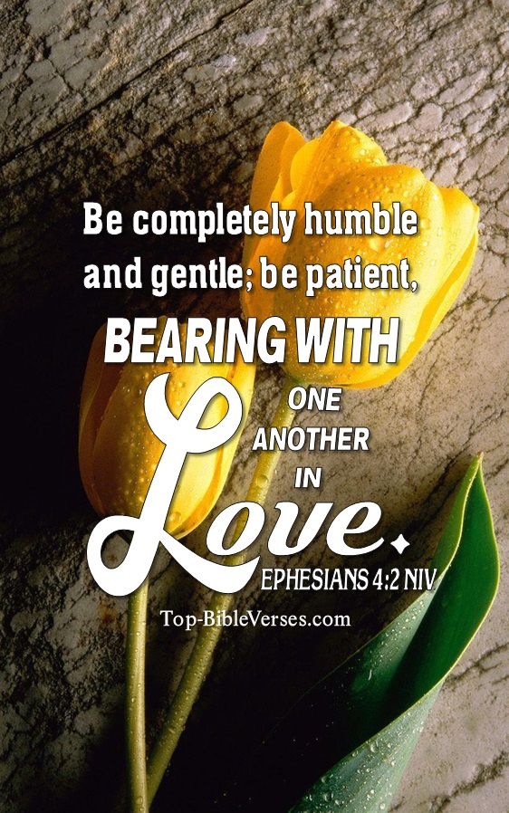 Ephesians 4:2 NIV Christian Bible Verse Mobile Wallpaper. Top-BibleVerses.com