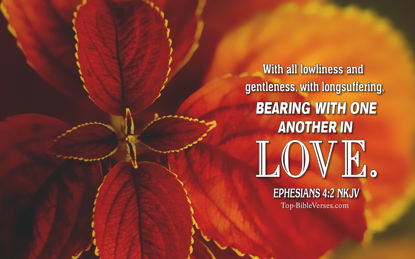 Ephesians 4:2 NKJV Christian Bible Verse Desktop Wallpaper. Top-BibleVerses.com
