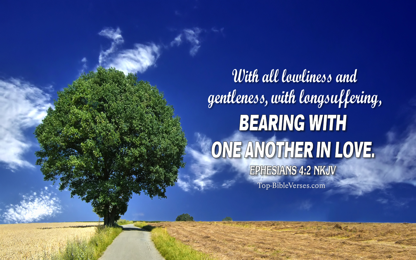 Ephesians 4:2 NKJV Christian Bible Verse Desktop Wallpaper. Top-BibleVerses.com