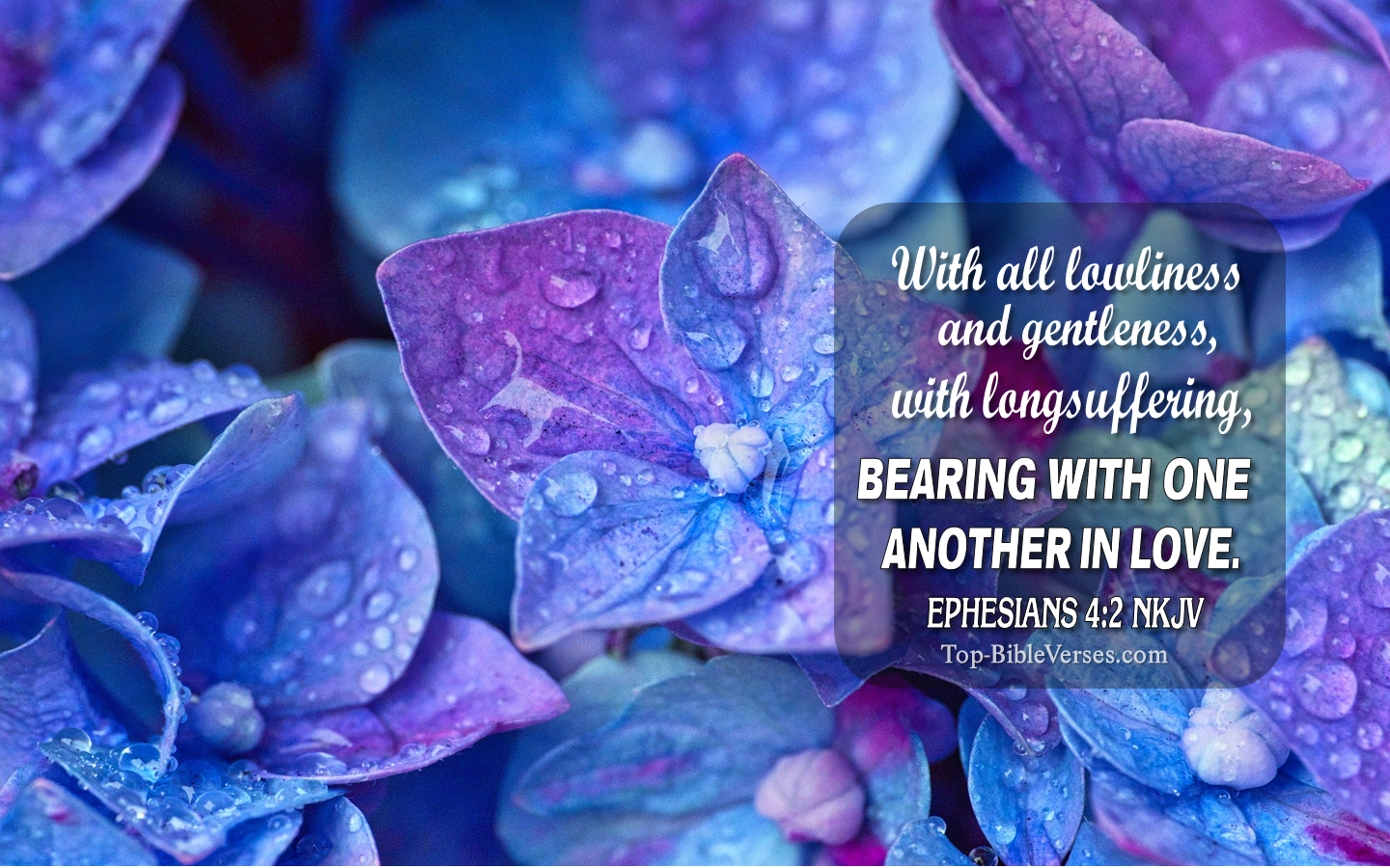 Ephesians 4:2 NKJV Christian Bible Verse Desktop Wallpaper. Top-BibleVerses.com