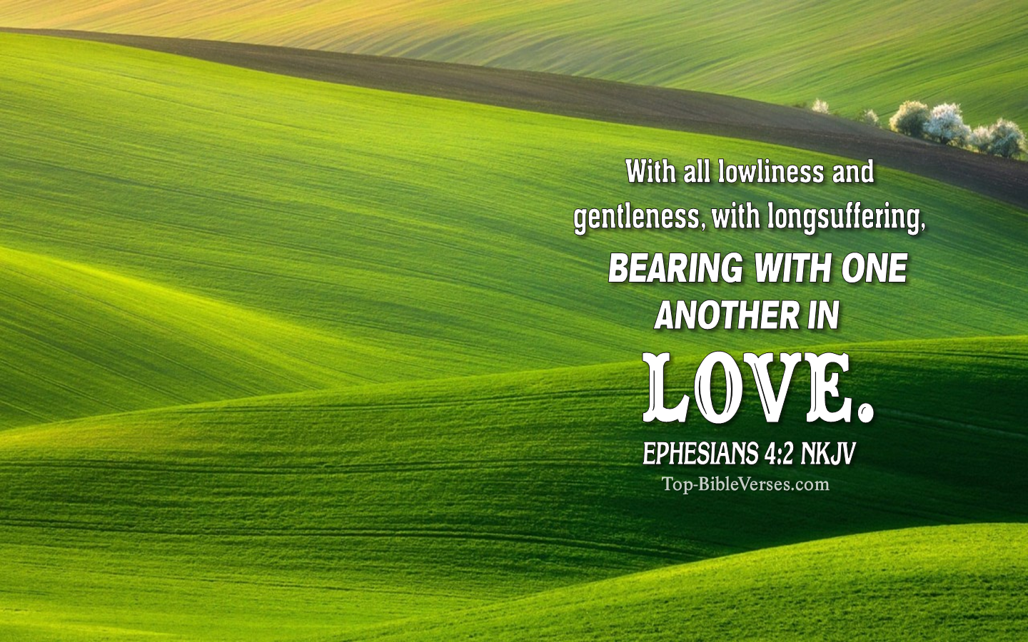 Ephesians 4:2 NKJV Christian Bible Verse Desktop Wallpaper. Top-BibleVerses.com