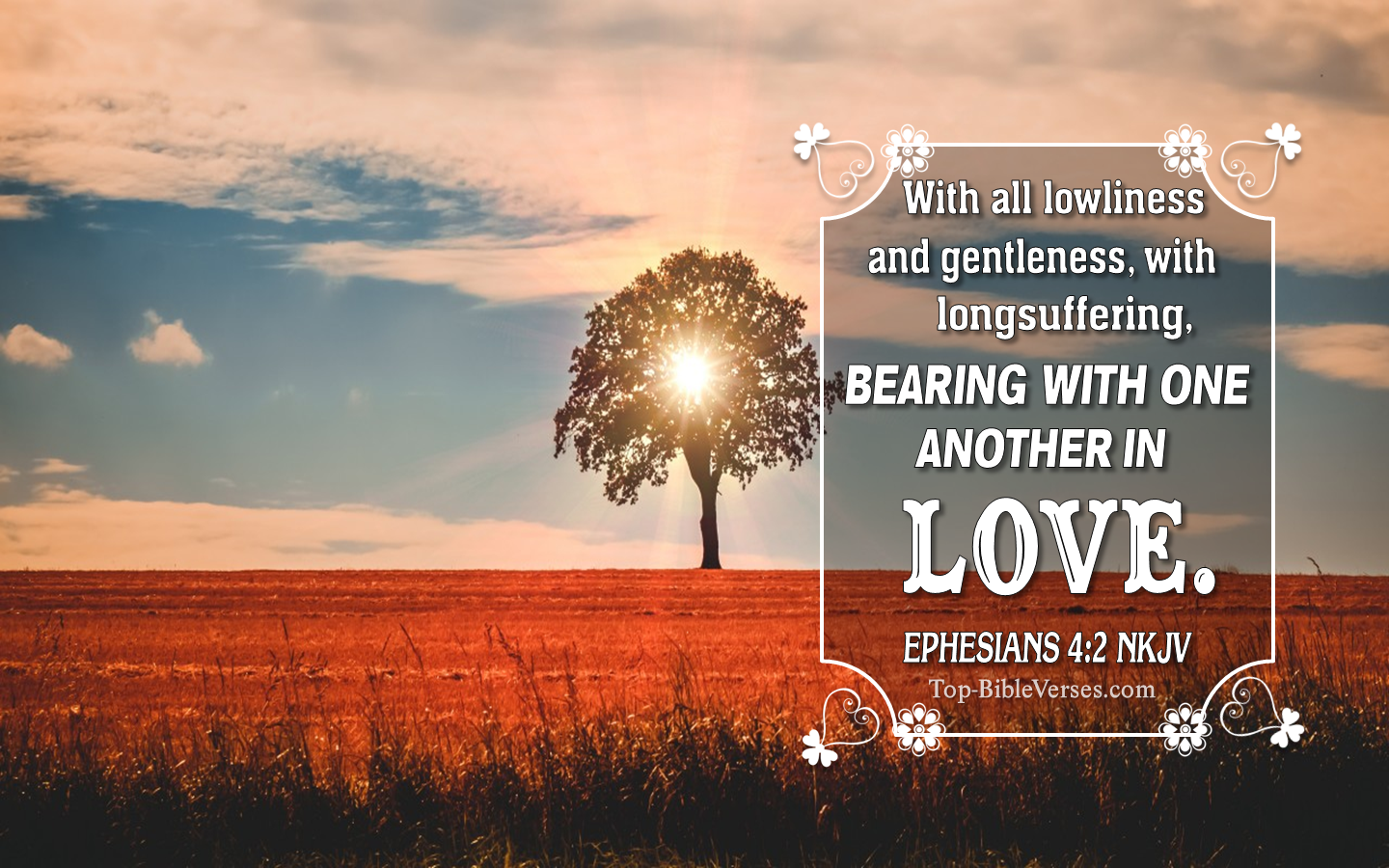 Ephesians 4:2 NKJV Christian Bible Verse Desktop Wallpaper. Top-BibleVerses.com