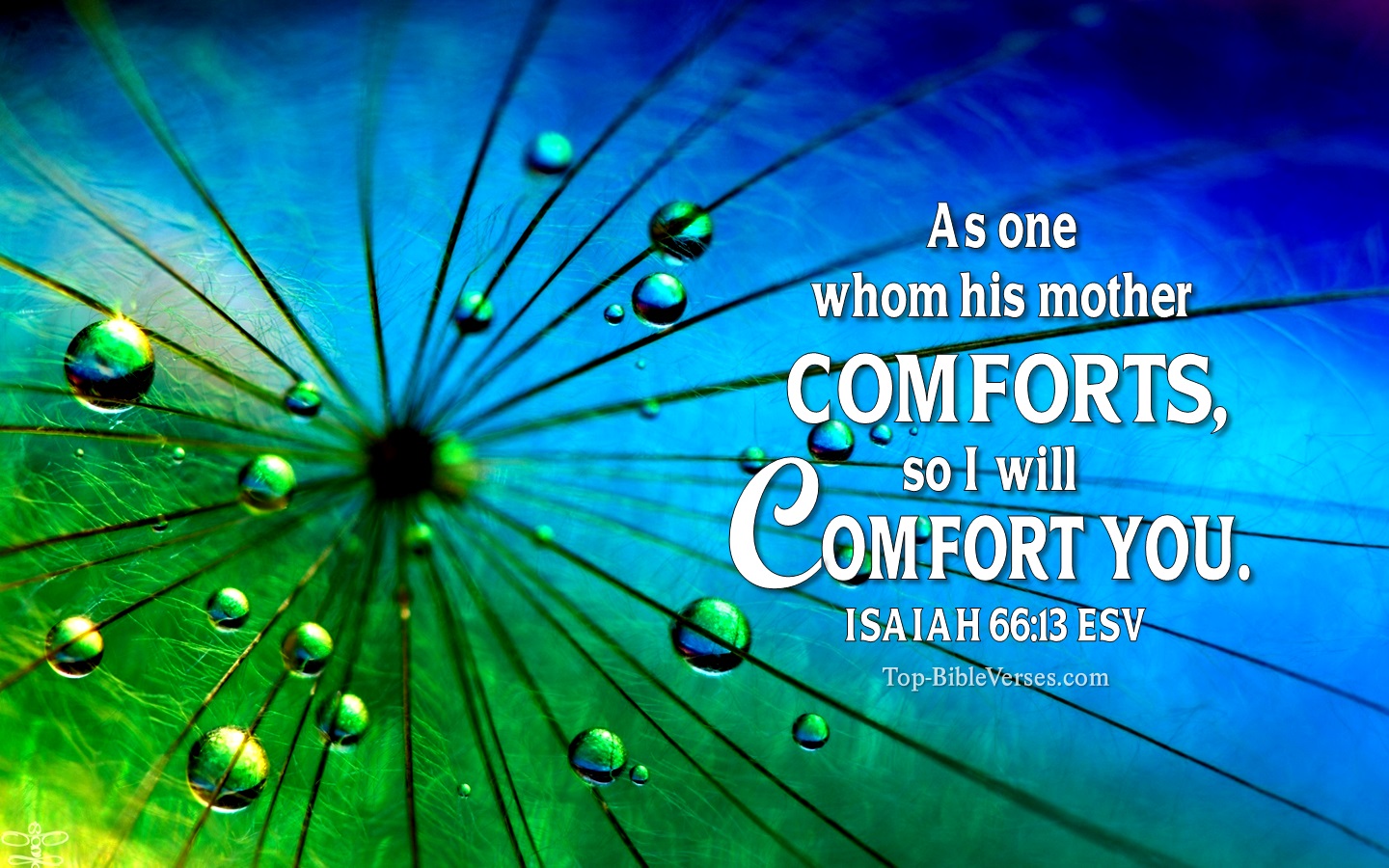 Isaiah 66:13 ESV Christian Bible Verse Desktop Wallpaper. Top-BibleVerses.com