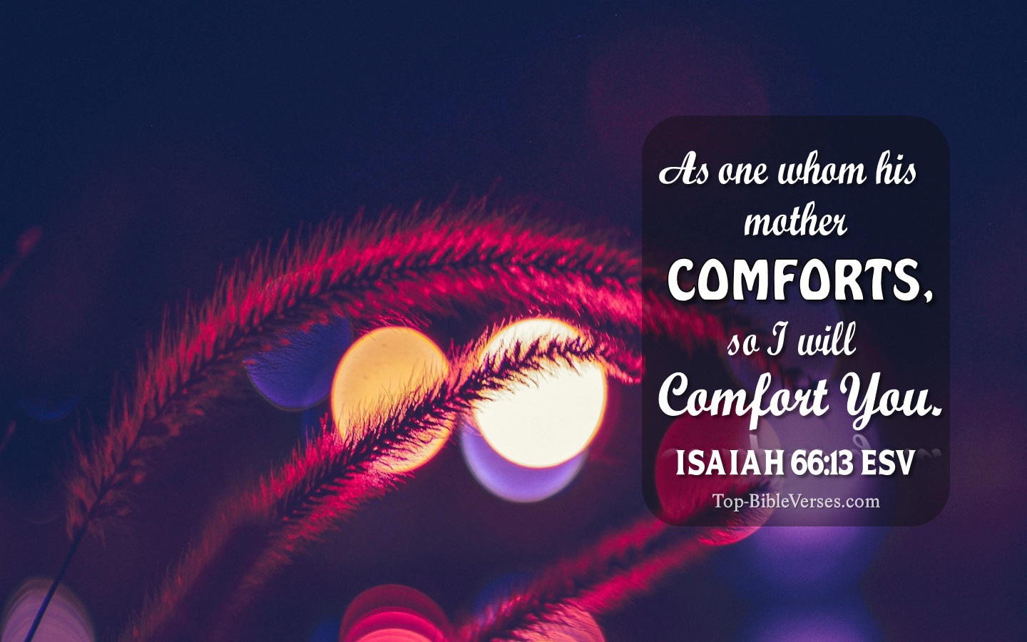 Isaiah 66:13 ESV Christian Bible Verse Desktop Wallpaper. Top-BibleVerses.com