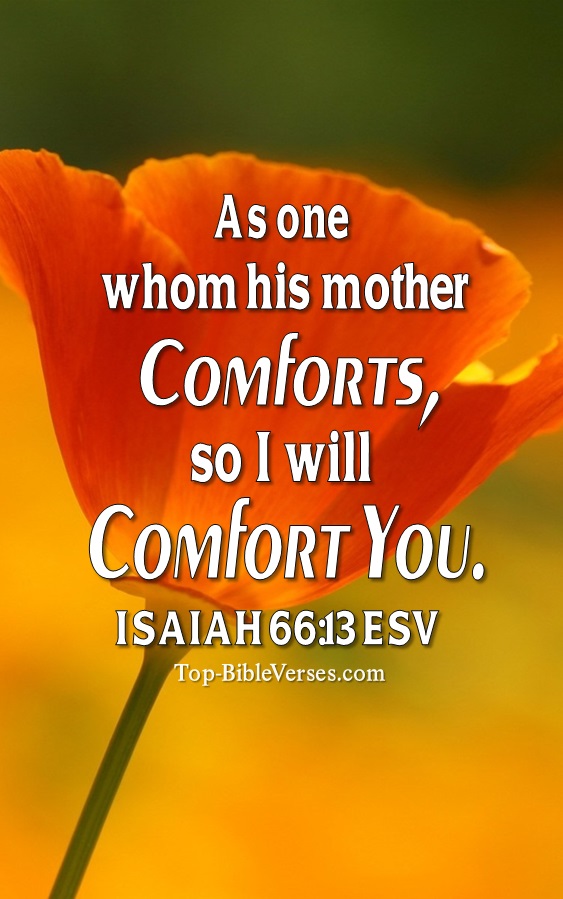 Isaiah 66:13 ESV Christian Bible Verse Mobile Wallpaper. Top-BibleVerses.com