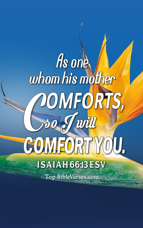 Isaiah 66:13 ESV Christian Bible Verse Mobile Wallpaper. Top-BibleVerses.com