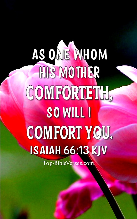Isaiah 66:13 KJV Christian Bible Verse Mobile Wallpaper. Top-BibleVerses.com