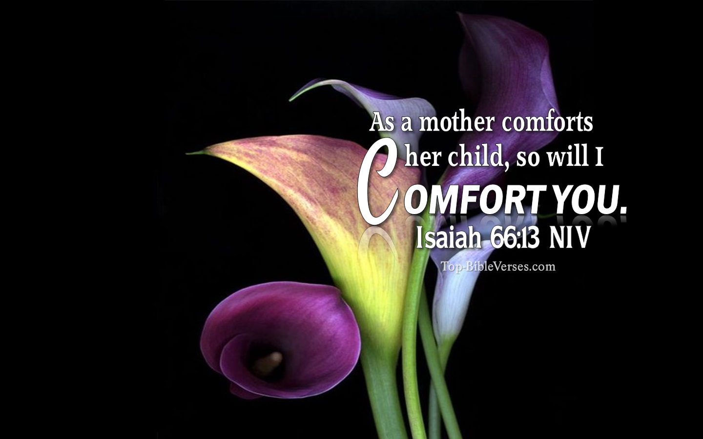 Isaiah 66:13 NIV Christian Bible Verse Desktop Wallpaper. Top-BibleVerses.com