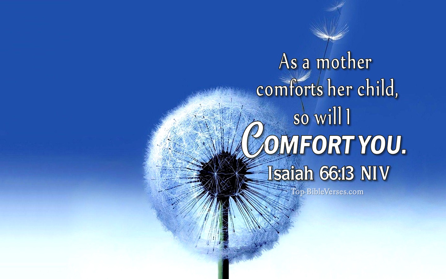 Isaiah 66:13 NIV Christian Bible Verse Desktop Wallpaper. Top-BibleVerses.com