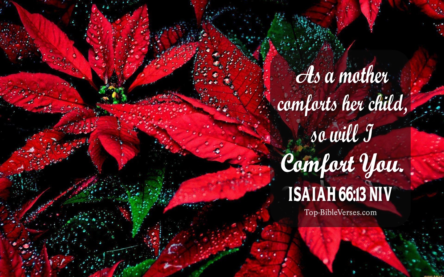 Isaiah 66:13 NIV Christian Bible Verse Desktop Wallpaper. Top-BibleVerses.com