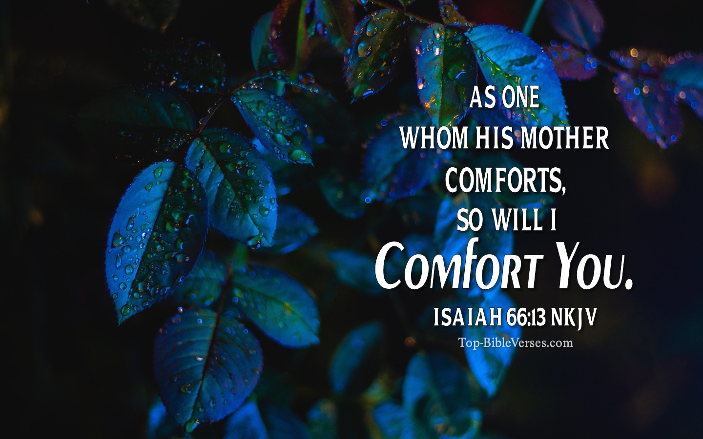 Isaiah 66:13 NKJV Christian Bible Verse Desktop Wallpaper. Top-BibleVerses.com