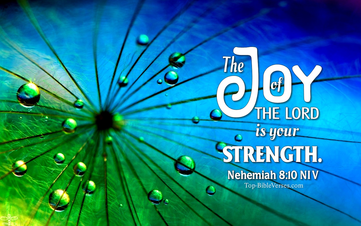 Nehemiah 8:10 NIV Christian Bible Verse Desktop Wallpaper. Top-BibleVerses.com